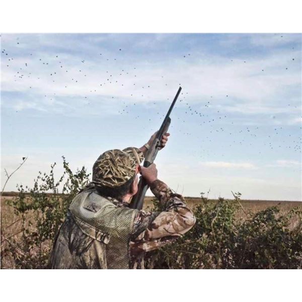 Luxury High-Volume Dove Hunt For 2 Hunters at Estancia La Criolla, Argentina