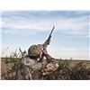 Image 1 : Luxury High-Volume Dove Hunt For 2 Hunters at Estancia La Criolla, Argentina