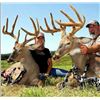 Image 1 : Two-Day/Three Night Whitetail Hunt in Choice of Five States