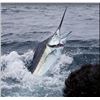 Image 1 : Luxurious Fishing Adventure with Crocodile Bay and Botanika Resort, Costa Rica