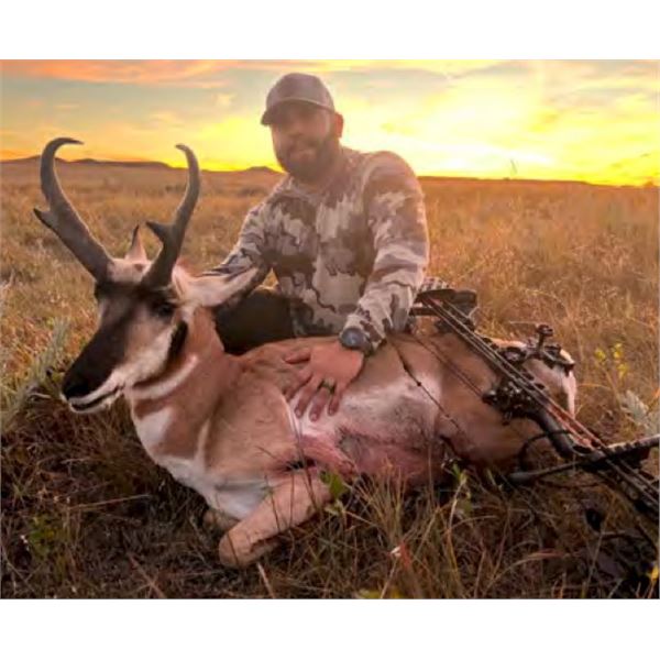 Antelope Hunt In "Big Sky" Montana - Draw Hunt