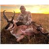 Image 1 : Antelope Hunt In "Big Sky" Montana - Draw Hunt