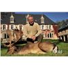 Image 2 : Hunt From a 13th Century Castle In South France - 5 Day/4 Night Hunt for 1 Hunter/ 1 Observer