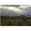 Image 2 : Join Graham Sales Safaris in A World Heritage Site. 7 Days for 2 Hunters.