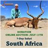 Image 1 : 7-Day Safari in South Africa