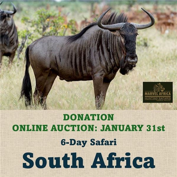 6-Day Safari in South Africa
