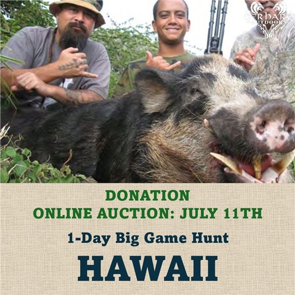 1-Day Big Game Hunt in Hawaii