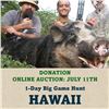 Image 1 : 1-Day Big Game Hunt in Hawaii