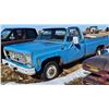 Image 4 : TRUCK : 1976 Chevrolet CD20