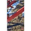 Image 9 : International 4500 Cultivator (13ft)