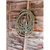 Image 14 : Wood Shed on Skids w/Contents