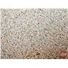 Image 8 : Granary / Shed on Skids w/Oats