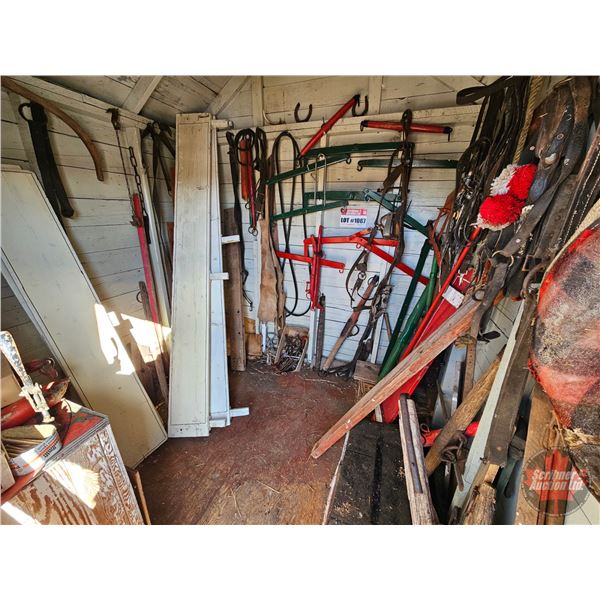 Variety of Horse Tack