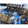 Image 1 : Foot Packer "Sheeps" (4FT)