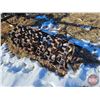 Image 3 : Foot Packer "Sheeps" (4FT)