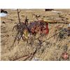 Image 39 : BACK FORTY SCRAP PILE !!!