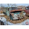 Image 7 : BACK FORTY SCRAP PILE !!!