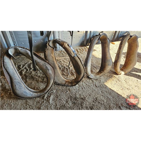 Horse Collars (4)