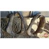 Image 3 : Horse Collars (4)