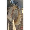 Image 4 : Horse Collars (4)