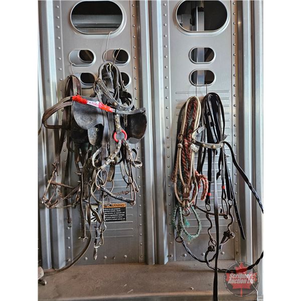 Bridles (7)