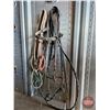 Image 2 : Bridles (7)