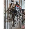 Image 3 : Bridles (7)