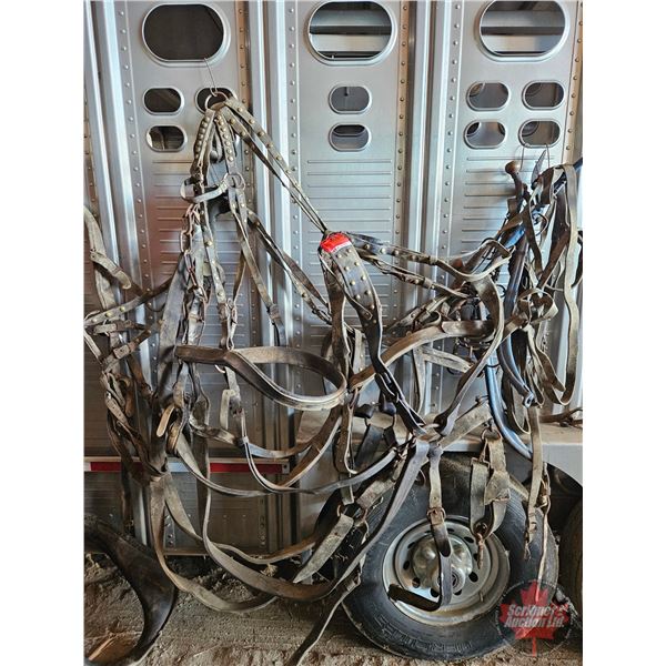 Harness Set (2 Heavy Horse)