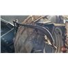 Image 4 : Full Set Horse Harness (2 Heavy Horse)