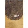 Image 10 : New Guinea Carved Wooden Shield 14" x 40"H