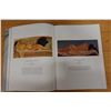 Image 14 : Art Book A. Christian Featuring Artist Anthony Christian Work, Hong Kong 1991 w/ Cover 12" x 16"