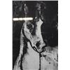 Image 6 : Chinese Horse Print Numbered 2/25 Lao Zhen Tao Te Ching 27" x 33", Framed & Matted