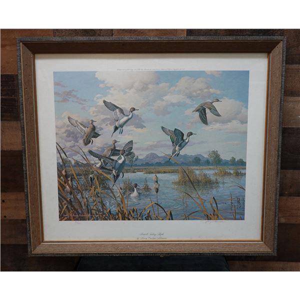 Pintails Taking Flight Artwork by Harry C. Adamson 30" x 26", Framed