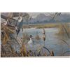 Image 4 : Pintails Taking Flight Artwork by Harry C. Adamson 30" x 26", Framed