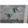 Image 8 : Pintails Taking Flight Artwork by Harry C. Adamson 30" x 26", Framed