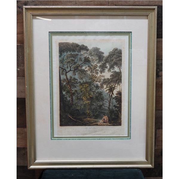The Fan Palm in Cracatoa Hand Colored Engraving Circa 1800's, 22" x 28", Framed