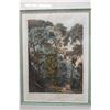 Image 2 : The Fan Palm in Cracatoa Hand Colored Engraving Circa 1800's, 22" x 28", Framed