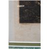 Image 6 : The Fan Palm in Cracatoa Hand Colored Engraving Circa 1800's, 22" x 28", Framed