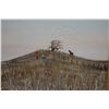 Image 2 : Fields of Grass Artwork by Duane Albert Armstrong 26" x 26", Framed