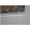 Image 5 : Abstract Bird Artwork Numbered 1/17 by John Young  29" x 26", Framed & Matted