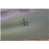 Image 5 : Ducks in Water Artwork by Artist Initials JL 31" x 14", Framed
