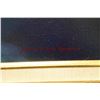 Image 5 : Peace Dove Oil Painting by Susan Chung Aragaki 24" x 20", Gilt Framed & Matted