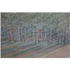 Image 2 : Landscape Scene Artwork by Russell Lowrey 24" x 20", Koa Framed & Matted