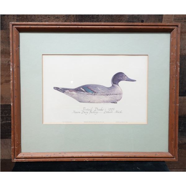 Pintail Duck Artwork Produced by  Mason Decoy Factory in Detroit, Michigan 16" x 16",  Framed & Matt