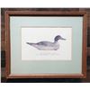 Image 1 : Pintail Duck Artwork Produced by  Mason Decoy Factory in Detroit, Michigan 16" x 16",  Framed & Matt
