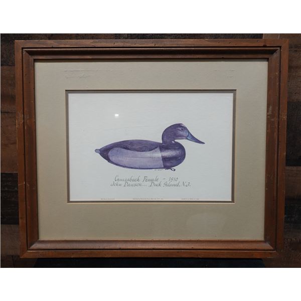 Canvasback Female Artwork by John Dawson, Duck Island NY 19.5" x 16", Framed & Matted