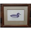 Image 1 : Canvasback Female Artwork by John Dawson, Duck Island NY 19.5" x 16", Framed & Matted