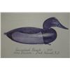 Image 2 : Canvasback Female Artwork by John Dawson, Duck Island NY 19.5" x 16", Framed & Matted