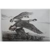 Image 2 : Coming Home, Nene Artwork Numbered 40/60 by Daniel Van Zyle 22.5" x 20", Koa Framed & Matted