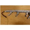 Image 4 : New Guinea Shell Belt 37"L